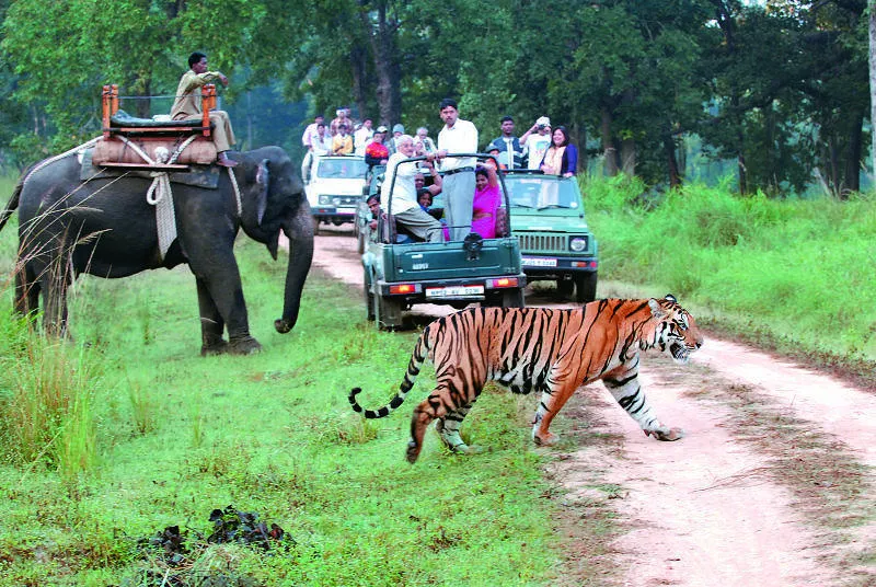 Jim Corbett National Park